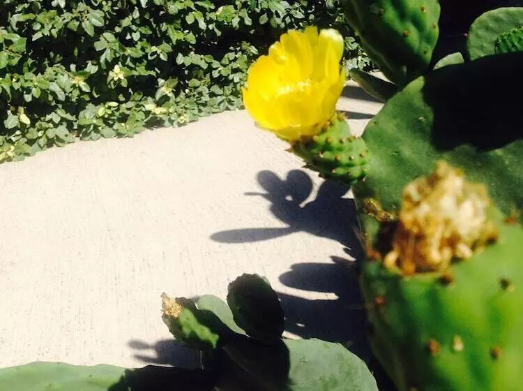 Alghero Resort Country Hotel & Spa