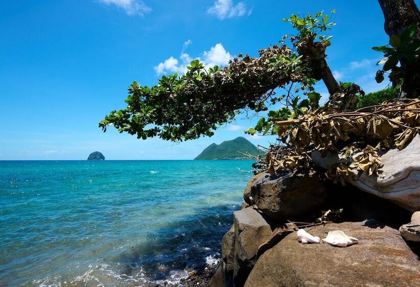 هتل Diamant Beach