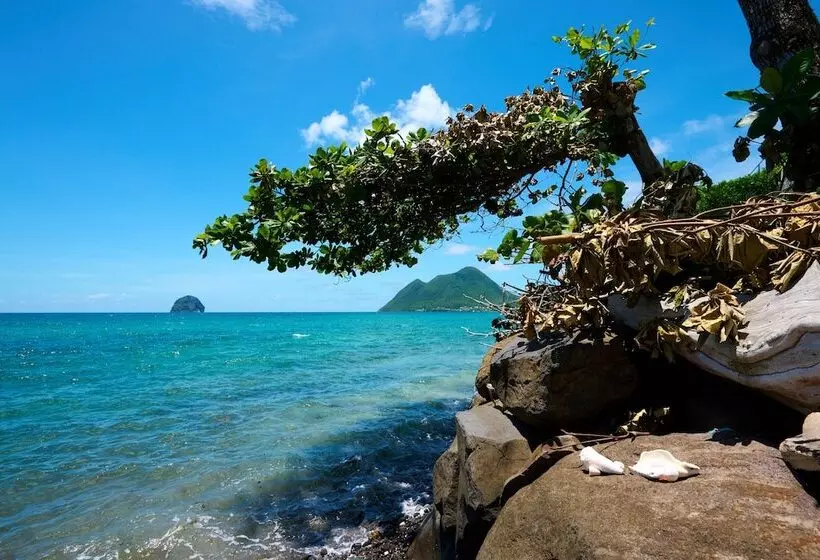 هتل Diamant Beach