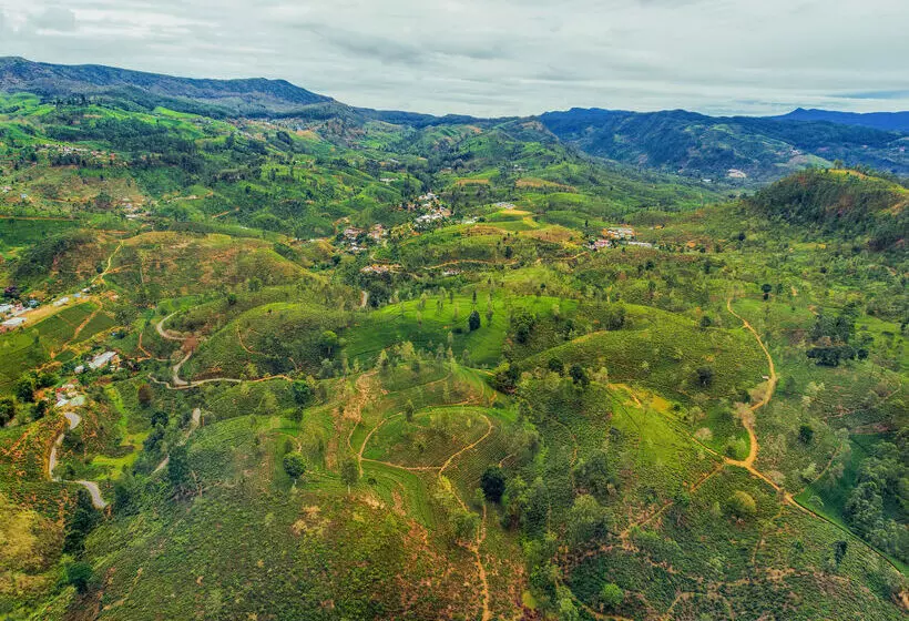 Langdale Boutique Hotel By Amaya