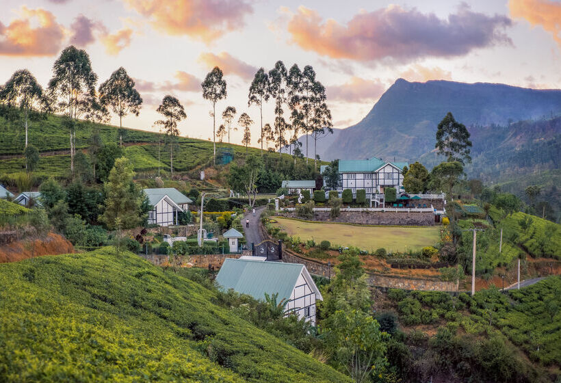 Langdale Boutique Hotel By Amaya