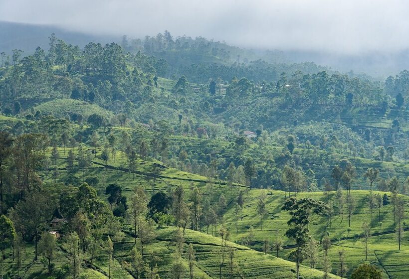 Langdale Boutique Hotel By Amaya