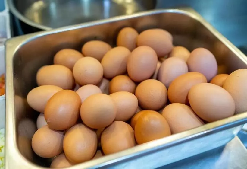 호텔 Olympus Plaza