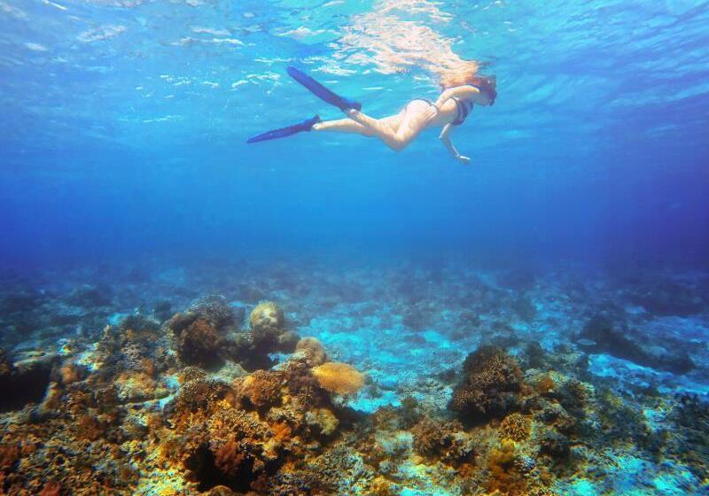 ホテル Queen Villa & Spa