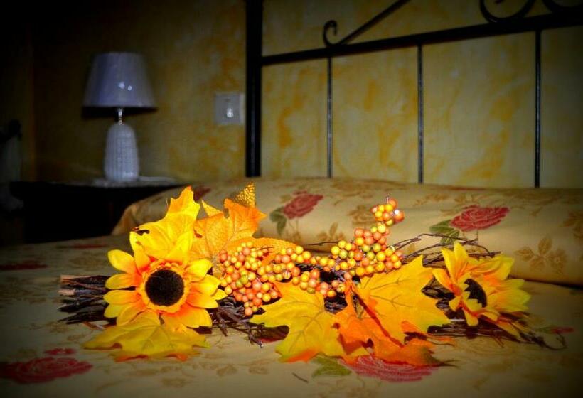 住宿加早餐  Centro Storico