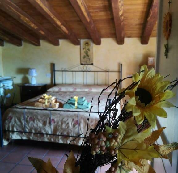 住宿加早餐  Centro Storico