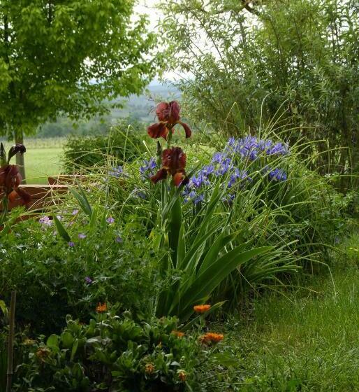 Bed and Breakfast Gite De Groupe 15p, 7 Ch, 6 Sdb, Parc Et Salle De Réception, Ou Chambres D Hotes