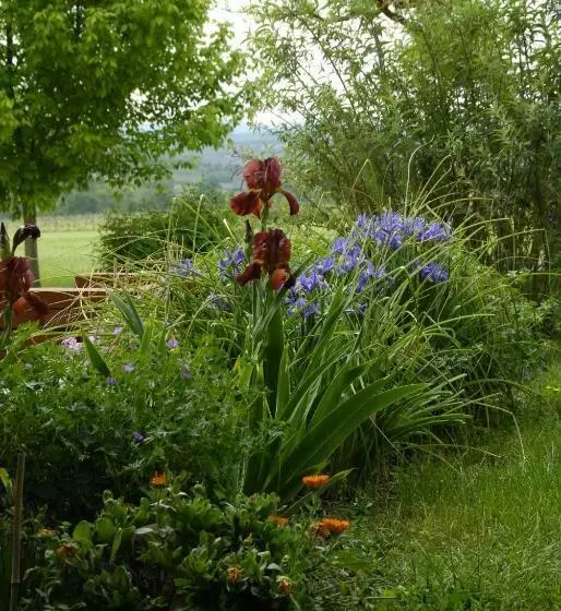 Aamiaismajoitus (B&B) Gite De Groupe 15p, 7 Ch, 6 Sdb, Parc Et Salle De Réception, Ou Chambres D Hotes