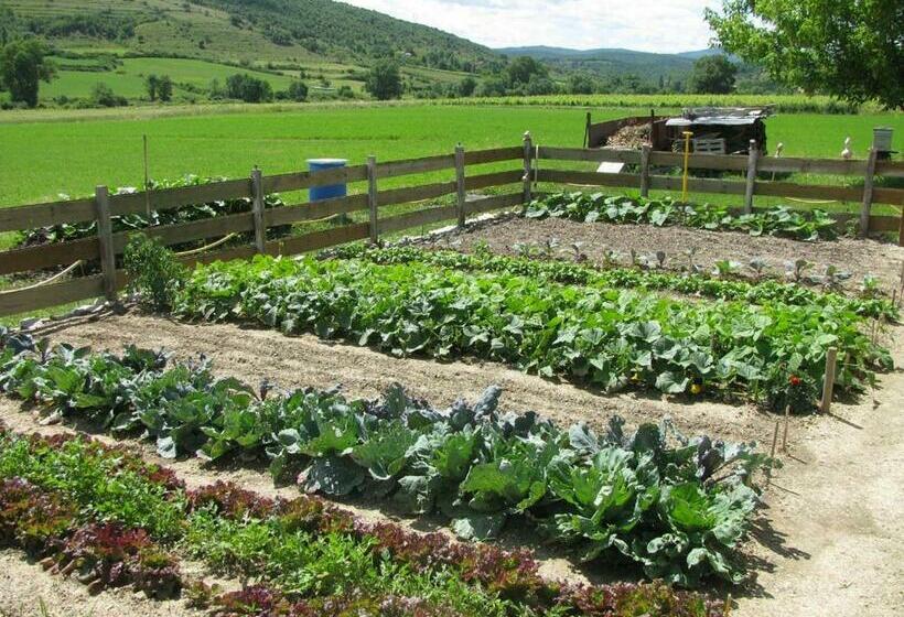 Bed and Breakfast Gite De Groupe 15p, 7 Ch, 6 Sdb, Parc Et Salle De Réception, Ou Chambres D Hotes