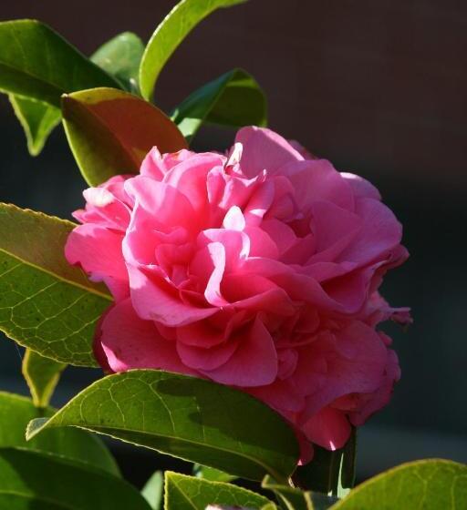 민박 Pirralilla Estate Adelaide Hills