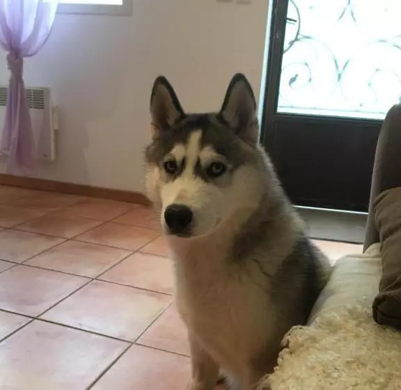 Majatalo La Petite Cabrière