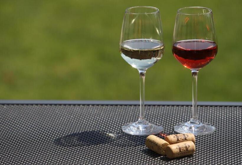 펜션 Penzion Blatnice