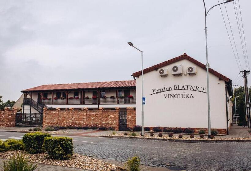 펜션 Penzion Blatnice