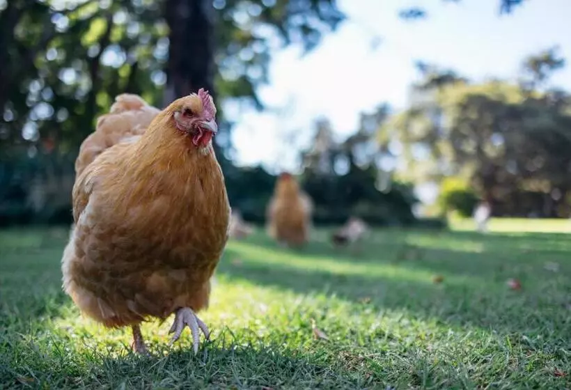 Majatalo The Goodland Cottages