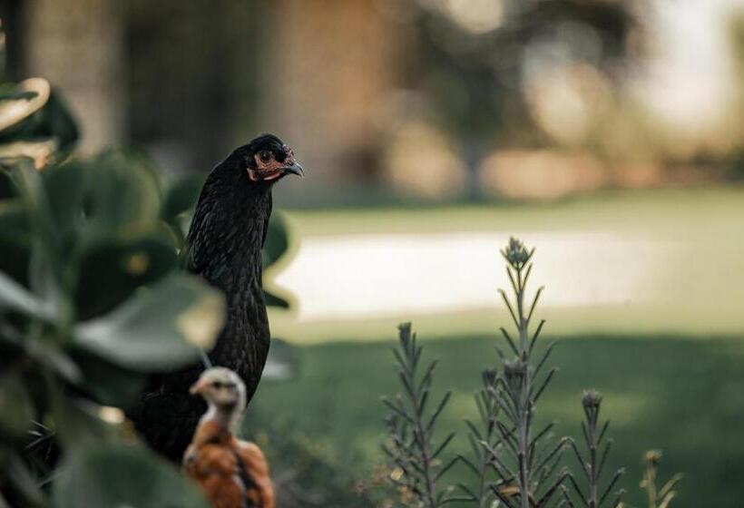 膳宿费 The Goodland Cottages