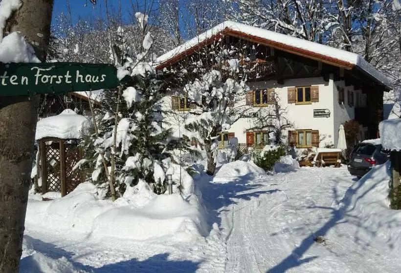 پانسیون Zum Alten Forsthaus