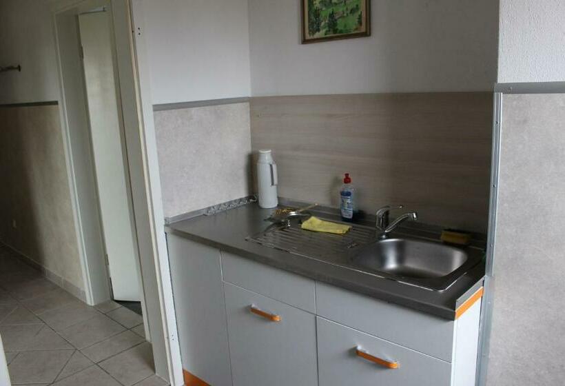 פנסיון Zv Scholtz Gästehaus Neuötting Simbacher Straße 7