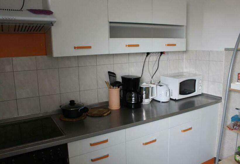 פנסיון Zv Scholtz Gästehaus Neuötting Simbacher Straße 7