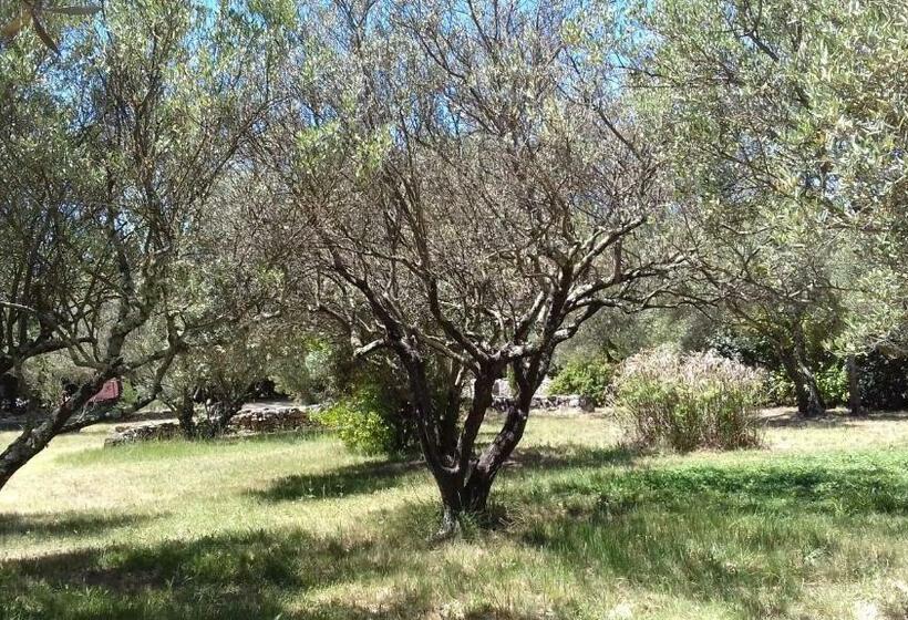 צימר Les Chardons Bleus