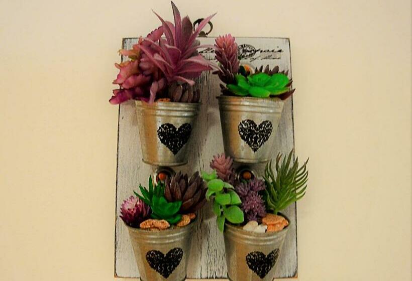 Mille Soli Bed And Breakfast