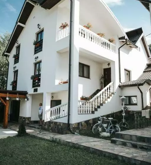 ペンション Casa Fratii Mât