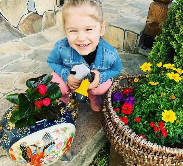 پانسیون Casa Fratii Mât