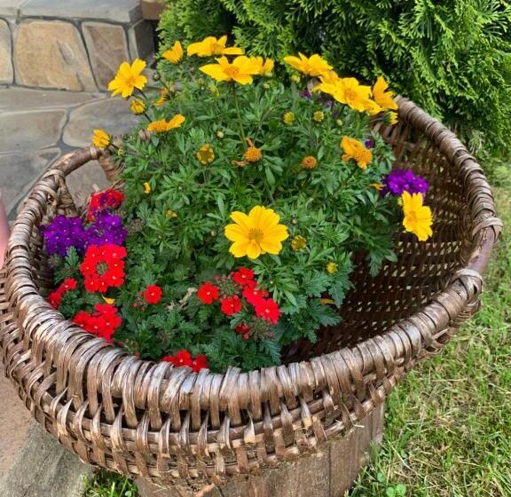 پانسیون Casa Fratii Mât