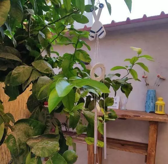 Majatalo Green House
