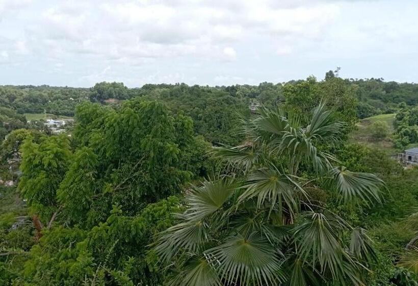 پانسیون Maison Du Soleil