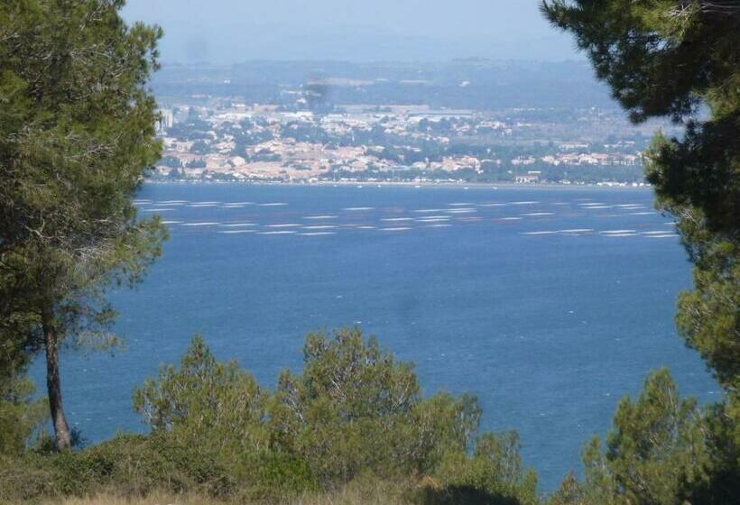 بنسيون Bien Vivre Ensemble Aux Marches Du Soleil   Chambres Privées Chez L Habitant Dans Appartement Partag