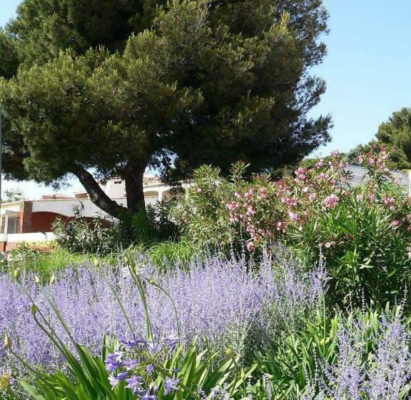 بنسيون Bien Vivre Ensemble Aux Marches Du Soleil   Chambres Privées Chez L Habitant Dans Appartement Partag