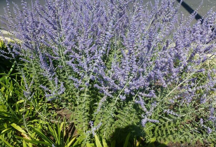 بنسيون Bien Vivre Ensemble Aux Marches Du Soleil   Chambres Privées Chez L Habitant Dans Appartement Partag