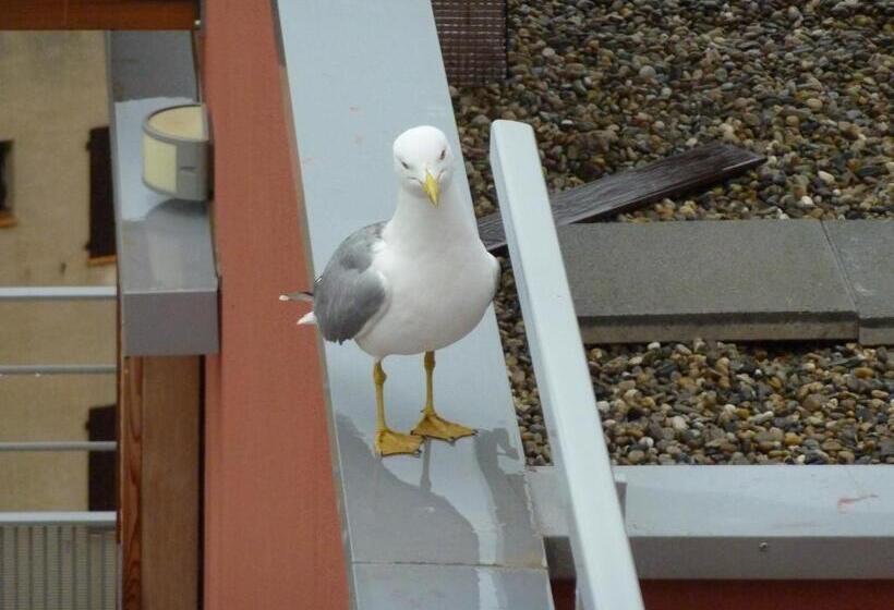 بنسيون Bien Vivre Ensemble Aux Marches Du Soleil   Chambres Privées Chez L Habitant Dans Appartement Partag