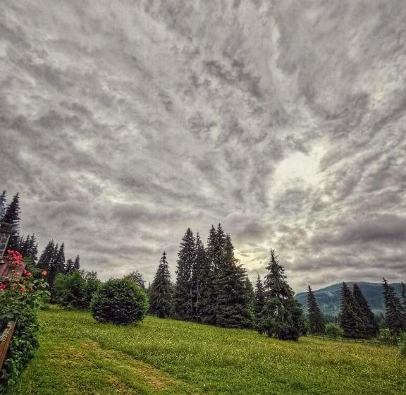 بنسيون Rum Haz