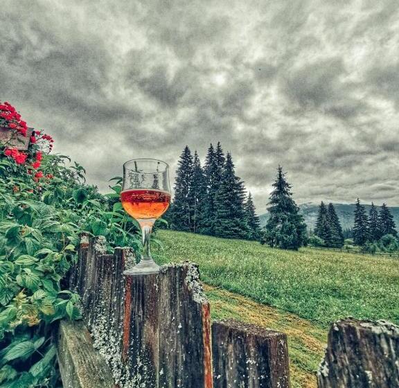 بنسيون Rum Haz