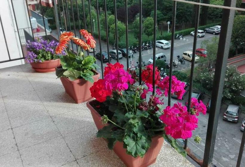 پانسیون Vintage Room