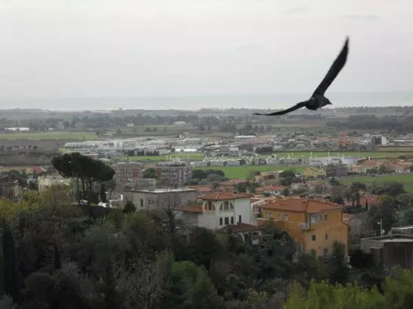 Aamiaismajoitus (B&B) Al Castello