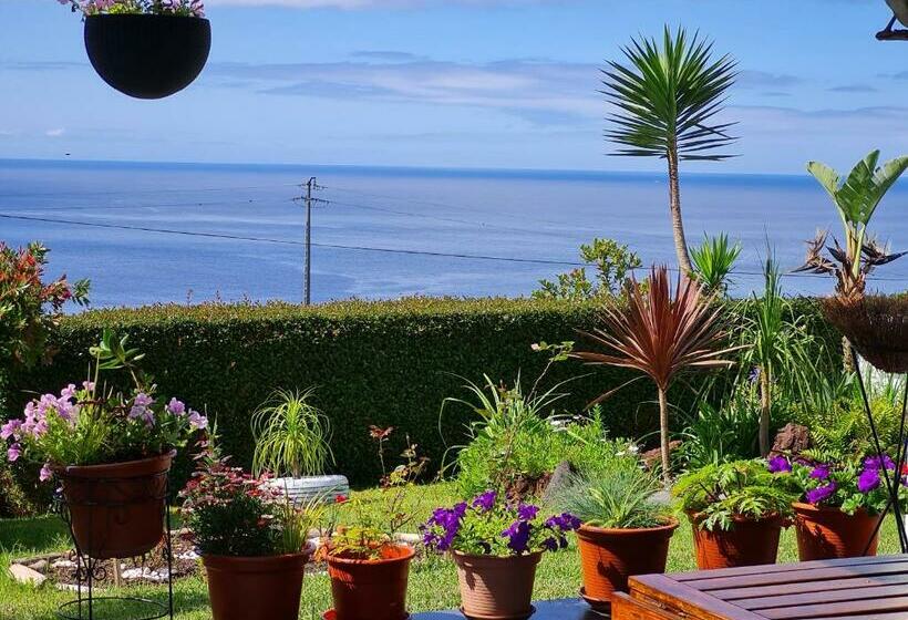 تختخواب و صبحانه Casa Da Ribeira