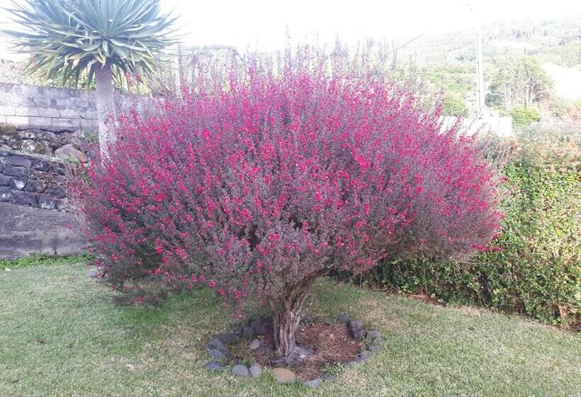 تختخواب و صبحانه Casa Da Ribeira