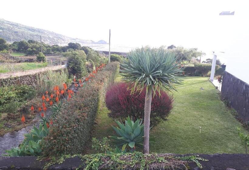 تختخواب و صبحانه Casa Da Ribeira