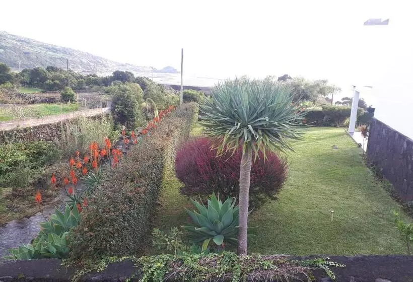 ベッドアンドブレックファースト Casa Da Ribeira