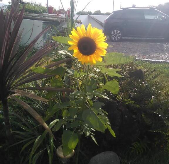 تختخواب و صبحانه Casa Da Ribeira