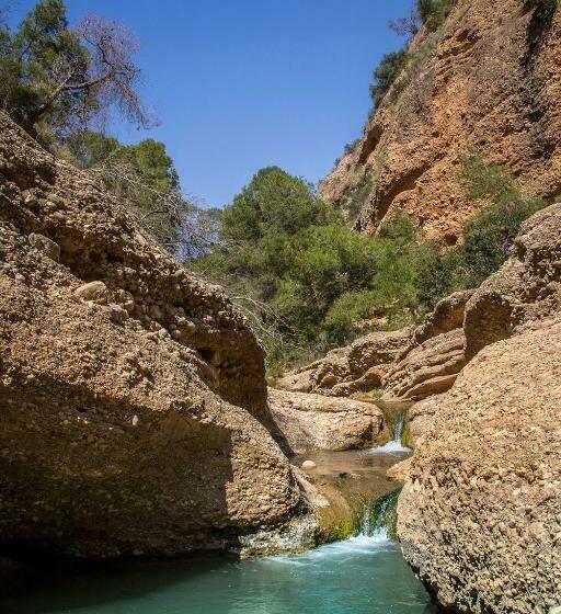 ベッドアンドブレックファースト Casa De La Piña