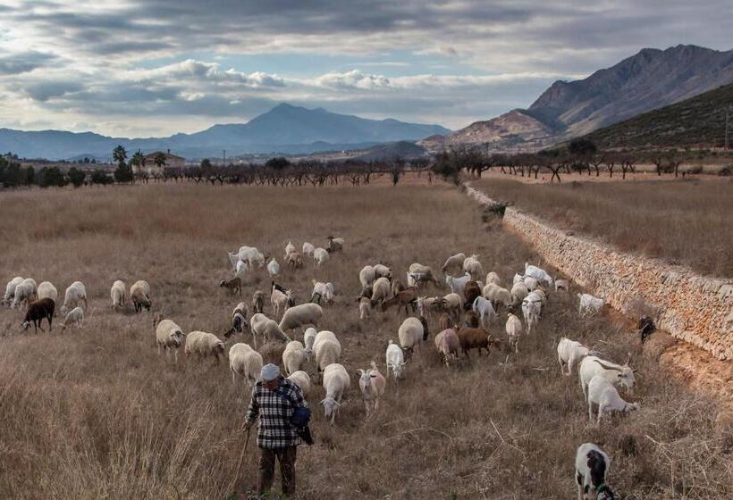 ベッドアンドブレックファースト Casa De La Piña