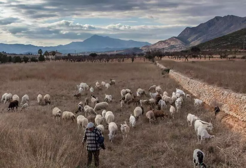 Aamiaismajoitus (B&B) Casa De La Piña