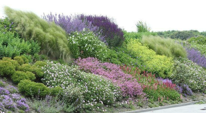Duinvilla Aan De Zee B&b