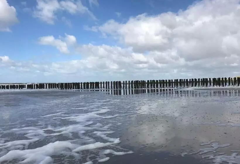 Duinvilla Aan De Zee B&b