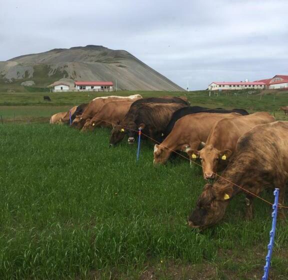هتل Eiði Farmhouse