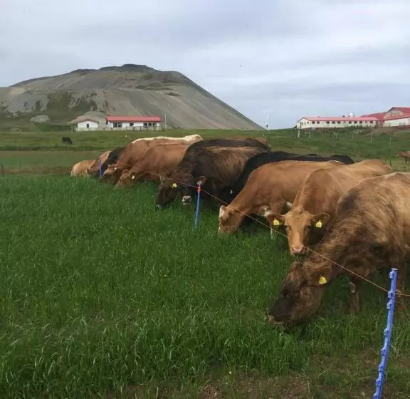 هتل Eiði Farmhouse