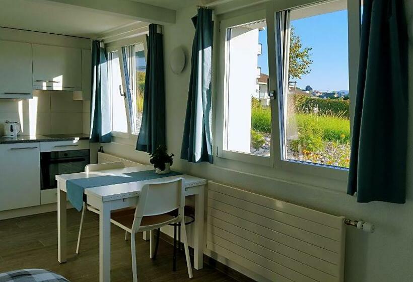 Pension Lake View Private Studio